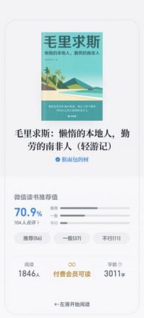 毛里求斯